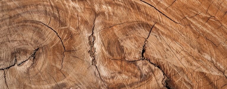 Prove di caratterizzazione del legno