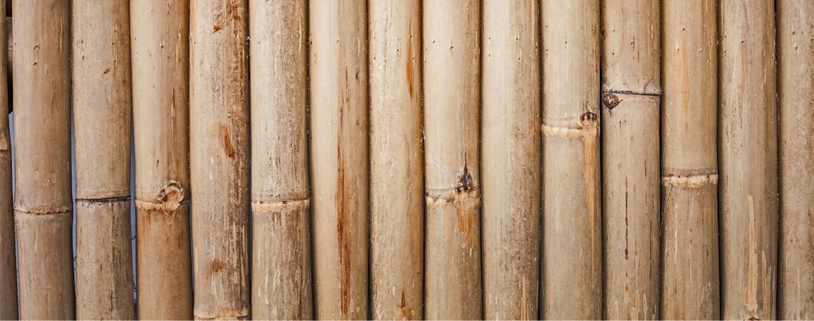 Prove di caratterizzazione del legno
